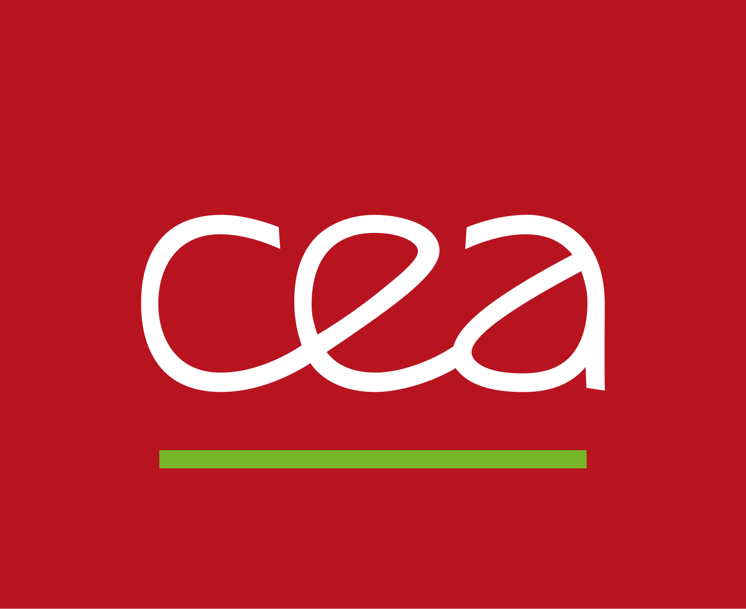 The French Alternative Energies and Atomic Energy Commission (CEA)